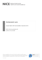 Antenatal Care Nice
