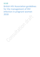 Bhiva Pregnancy Guidelines Consultation Draft Final Hiv