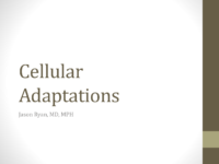 Cellular Adaptations