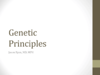 Genetics Principles
