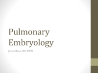 Pulmonary Embryology