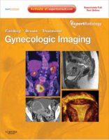 2011 Gynecologic Imaging Expert Radiology (2011)