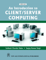 An Introduction To Client Server Computing By Subhash Chandr