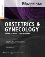 Blueprints Obstetrics And Gynecology 6E 2013