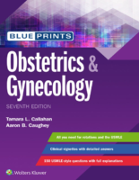 Blueprints Obstetrics & Gynecology Tamara Callahan