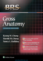 Brs Board Review Series Gross Anatomy