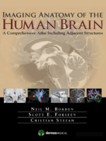 Imaging Anatomy Of The Human Brain 1St Edition
