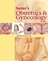 Netters Obstetrics And Gynecology 2E 2008