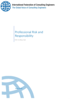 Professional Risk And Responsibility