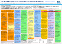 Support Empirical Antibiotic Therapy