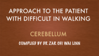 3.Cerebellum