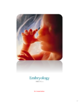 Embryology Study Notes[1] (2)