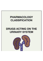 Drugs acting on Urinary System