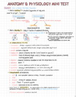 Anatomy And Physiology Mini Test Flashcard