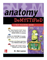 Anatomy Demystified