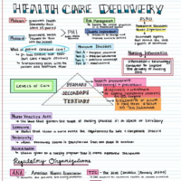 Health Care Delivery Handwritten Note Flashcard