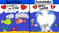 Hydrophillic And Hydrophobic Loves Water And Hates Water Flashcard