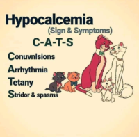 Hypocalcemia Sign And Symptoms Flashcard