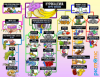 Hypokalemia Hippo Banana Flashcard