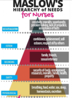 Maslows Hierarchy Of Needs For Nurses Flashcard