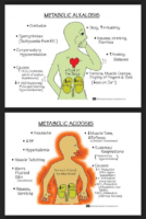 Metabolic Alkalosis And Metabolic Acidosis Flashcard