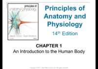 1 An Introduction to the Human Body
