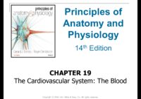 19 The Cardiovascular System The Blood