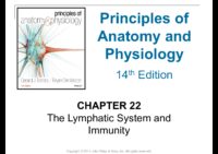 22 The Lymphatic System and Immunity