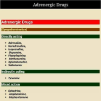 Adrenergic Drugs Types – Pharmacology Drug Cards