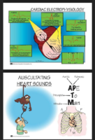 Cardiac Electrophysiology – Auscultating Heart Sounds