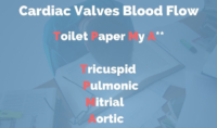 Cardiac Valves Blood Flow – Mnemonic Word Notes