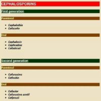 Cephalosporins – Nursing Pharmacology Lecture Notes