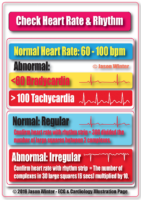 Check Heart Rate – Rhythm