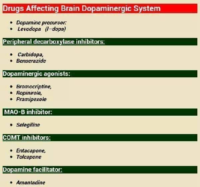 Drugs Affecting Brain Dopaminergic System – Pharmacology Drug Cards