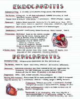 Endocarditis And Pericarditis – Cardiac Nursing Notes