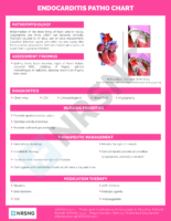 Endocarditis Patho Chart -Cardiac Nursing Notes