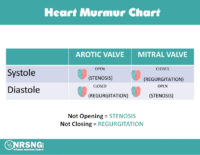 Heart Murmur Chart – Arotic And Mitral Valve