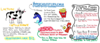 Hypercholesterolemia – Descriptive Features