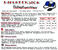 Hypertension Pathophysiology – Cardiac Nursing Notes