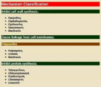 Mechanism Classification Drugs -Pharmacology Drug Cards
