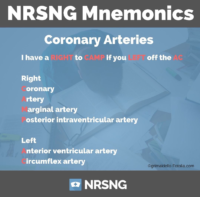 NRSNG Mnemonics – Coronary Arteries With Mnemonic Word