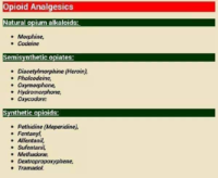 Opioid Analgesics Drug Types – Nursing Pharmacology Lecture Notes