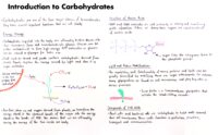 01 Introduction To Carbohydrates