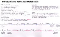 01 Introduction To Fatty Acid Metabolism
