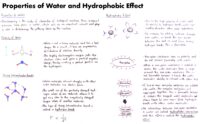 01 Properties Of Water And Hydrophobic Effect