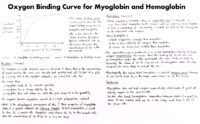 02 Oxygen Binding Curve For Myoglobin And Hemoglobin
