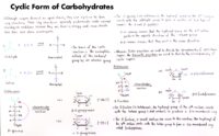 03 Cyclic Form Of Carbohydrates