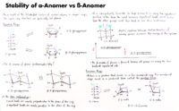 04_Stability of α-Anomer vs ß-Anomer