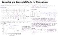 05 Concerted And Sequential Model For Hemoglobin