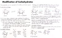 05 Modification Of Carbohydrates